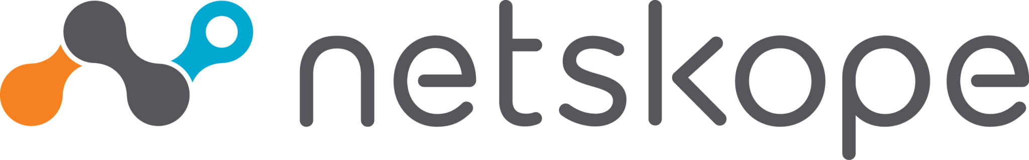 PNG---Netskope-primary-logo