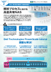 解析プロセスにおける高速共有NAS