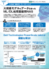 大型規模モデル＆データを使ったDLML処理基盤用NAS