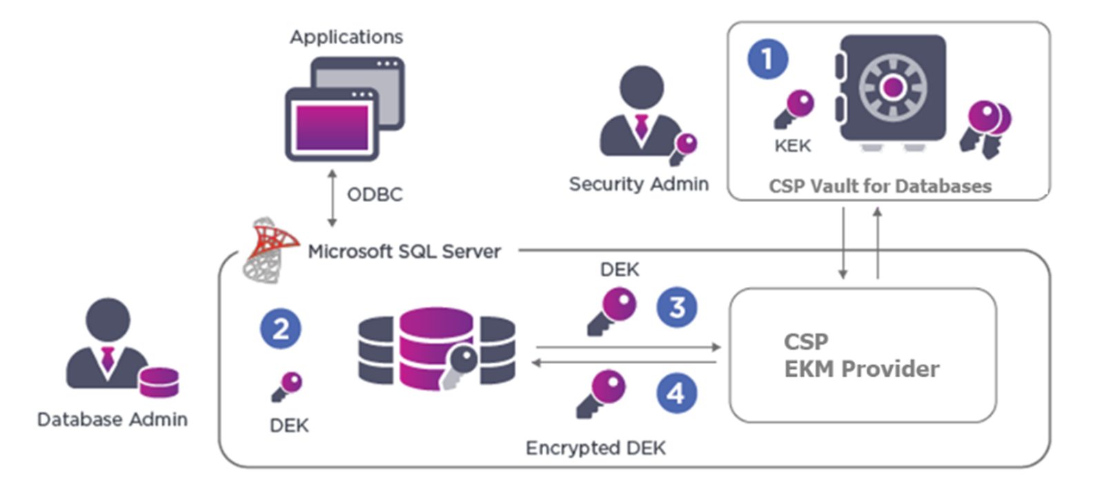 CSP_Vault for Databases